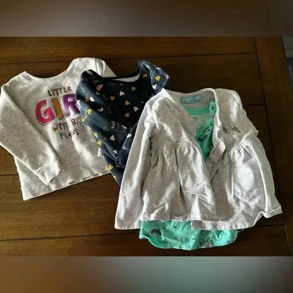 TODDLER SWEATER BUNDLE : bundle of 3 toddler girl sweaters - Picture 1 of 8